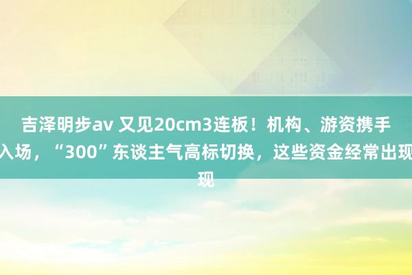 吉泽明步av 又见20cm3连板！机构、游资携手入场，“300”东谈主气高标切换，这些资金经常出现