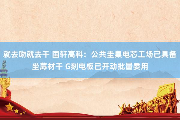 就去吻就去干 国轩高科：公共圭臬电芯工场已具备坐蓐材干 G刻电板已开动批量委用