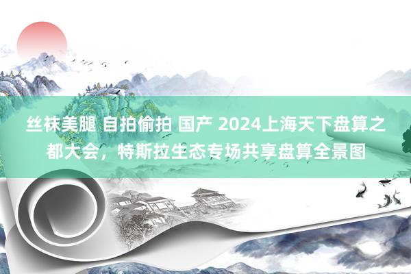 丝袜美腿 自拍偷拍 国产 2024上海天下盘算之都大会，特斯拉生态专场共享盘算全景图