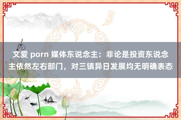 文爱 porn 媒体东说念主：非论是投资东说念主依然左右部门，对三镇异日发展均无明确表态