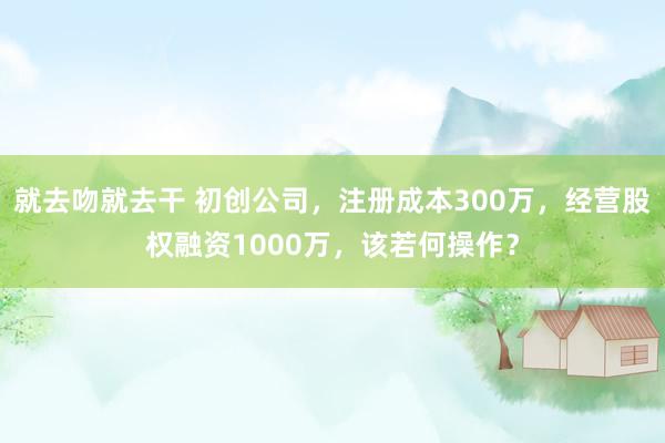 就去吻就去干 初创公司，注册成本300万，经营股权融资1000万，该若何操作？