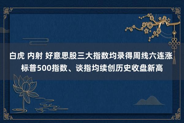 白虎 内射 好意思股三大指数均录得周线六连涨 标普500指数、谈指均续创历史收盘新高