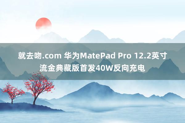 就去吻.com 华为MatePad Pro 12.2英寸流金典藏版首发40W反向充电