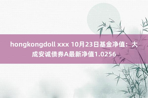 hongkongdoll xxx 10月23日基金净值：大成安诚债券A最新净值1.0256