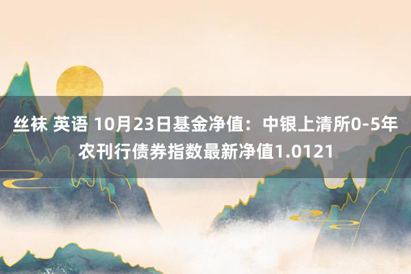 丝袜 英语 10月23日基金净值：中银上清所0-5年农刊行债券指数最新净值1.0121