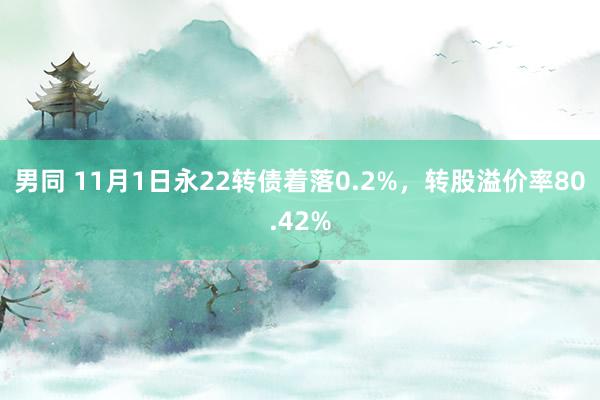 男同 11月1日永22转债着落0.2%，转股溢价率80.42%