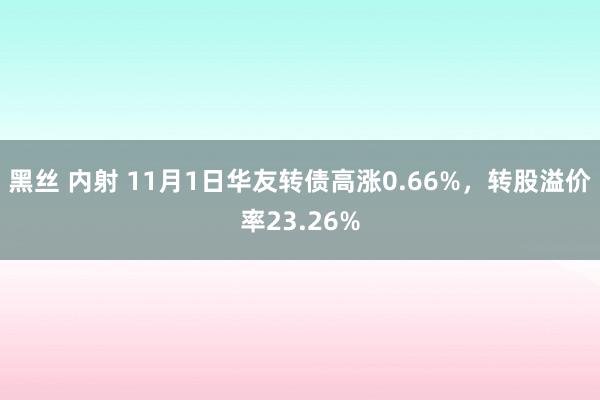 黑丝 内射 11月1日华友转债高涨0.66%，转股溢价率23.26%