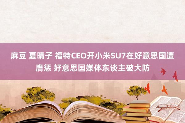 麻豆 夏晴子 福特CEO开小米SU7在好意思国遭膺惩 好意思国媒体东谈主破大防