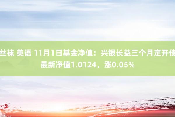 丝袜 英语 11月1日基金净值：兴银长益三个月定开债最新净值1.0124，涨0.05%