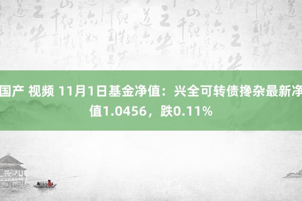 国产 视频 11月1日基金净值：兴全可转债搀杂最新净值1.0456，跌0.11%