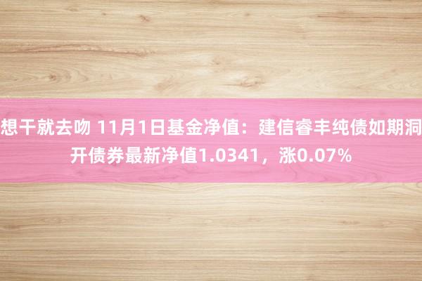 想干就去吻 11月1日基金净值：建信睿丰纯债如期洞开债券最新净值1.0341，涨0.07%