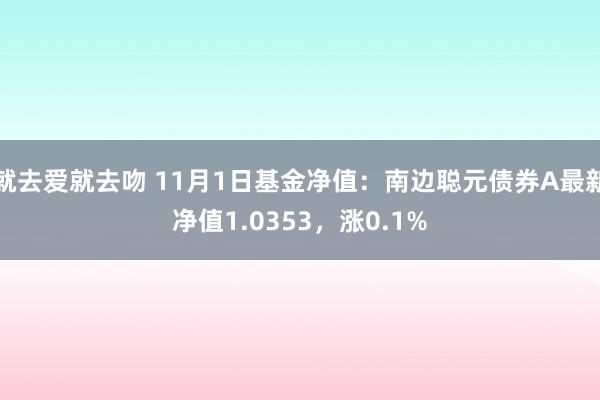 就去爱就去吻 11月1日基金净值：南边聪元债券A最新净值1.0353，涨0.1%