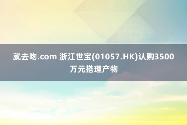 就去吻.com 浙江世宝(01057.HK)认购3500万元搭理产物