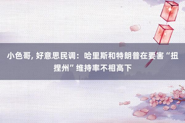 小色哥， 好意思民调：哈里斯和特朗普在要害“扭捏州”维持率不相高下