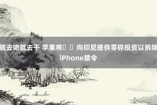 就去吻就去干 苹果将​​向印尼提供零碎投资以拆除iPhone禁令