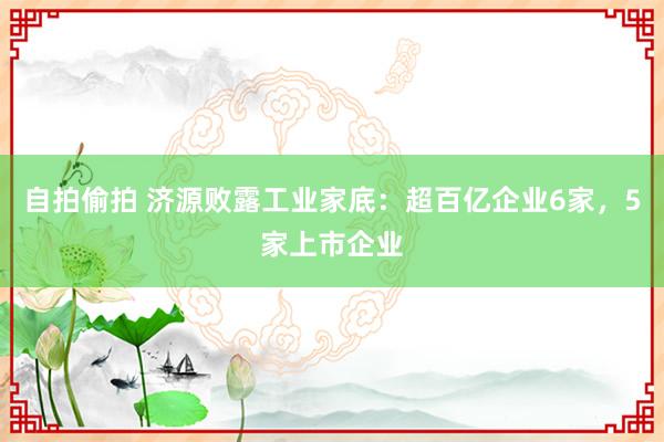 自拍偷拍 济源败露工业家底：超百亿企业6家，5家上市企业