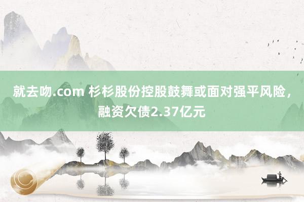 就去吻.com 杉杉股份控股鼓舞或面对强平风险，融资欠债2.37亿元