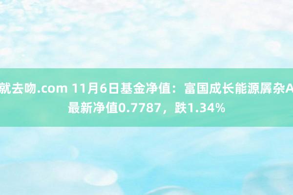 就去吻.com 11月6日基金净值：富国成长能源羼杂A最新净值0.7787，跌1.34%