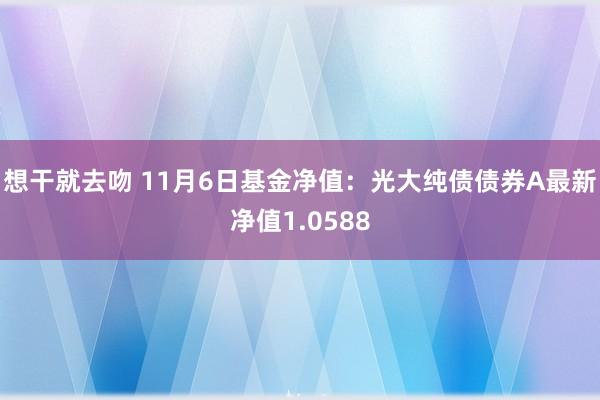 想干就去吻 11月6日基金净值：光大纯债债券A最新净值1.0588