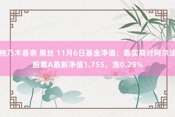 桃乃木香奈 黑丝 11月6日基金净值：嘉实商讨阿尔法股票A最新净值1.755，涨0.29%