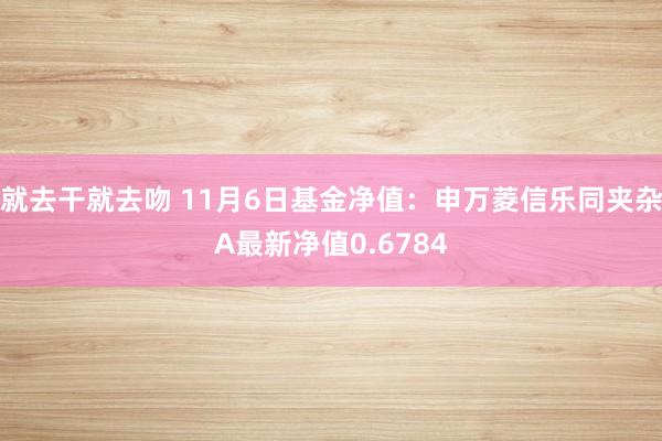 就去干就去吻 11月6日基金净值：申万菱信乐同夹杂A最新净值0.6784