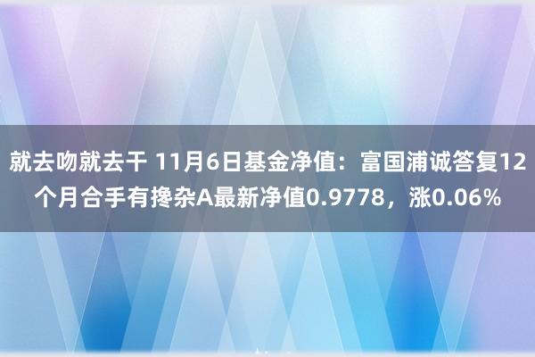 就去吻就去干 11月6日基金净值：富国浦诚答复12个月合手有搀杂A最新净值0.9778，涨0.06%