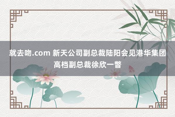 就去吻.com 新天公司副总裁陆阳会见港华集团高档副总裁徐欣一瞥