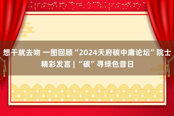 想干就去吻 一图回顾“2024天府碳中庸论坛”院士精彩发言 | “碳”寻绿色昔日