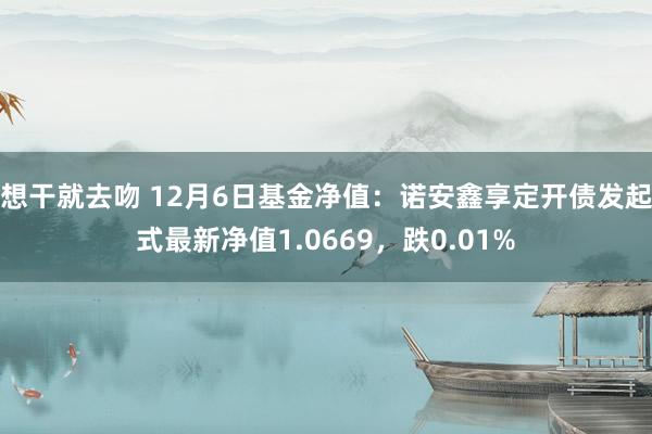 想干就去吻 12月6日基金净值：诺安鑫享定开债发起式最新净值1.0669，跌0.01%