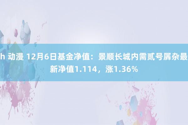 h 动漫 12月6日基金净值：景顺长城内需贰号羼杂最新净值1.114，涨1.36%