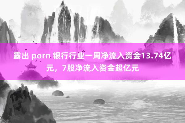 露出 porn 银行行业一周净流入资金13.74亿元，7股净流入资金超亿元