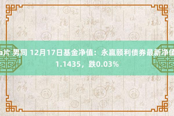 a片 男同 12月17日基金净值：永赢颐利债券最新净值1.1435，跌0.03%