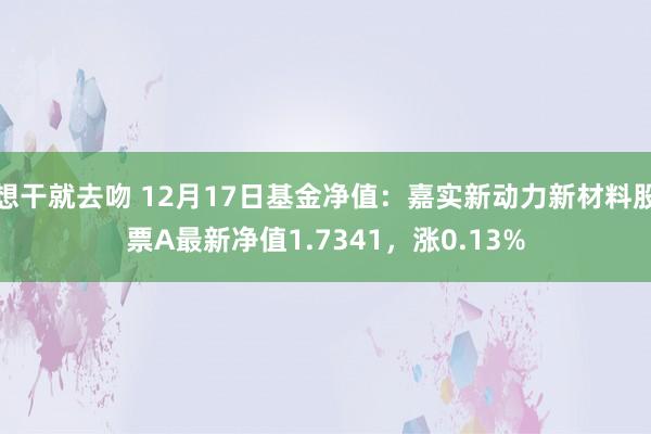 想干就去吻 12月17日基金净值：嘉实新动力新材料股票A最新净值1.7341，涨0.13%