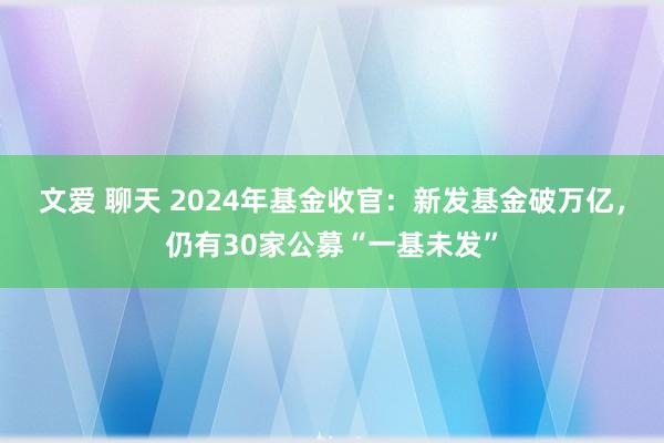 文爱 聊天 2024年基金收官：新发基金破万亿，仍有30家公募“一基未发”