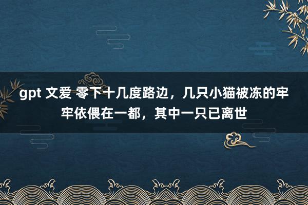 gpt 文爱 零下十几度路边，几只小猫被冻的牢牢依偎在一都，其中一只已离世