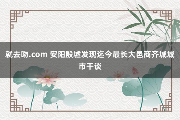 就去吻.com 安阳殷墟发现迄今最长大邑商齐城城市干谈