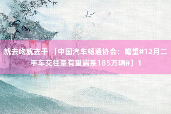 就去吻就去干 【中国汽车畅通协会：瞻望#12月二手车交往量有望羁系185万辆#】1