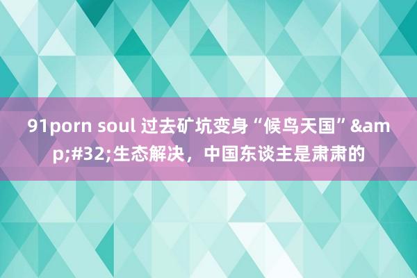 91porn soul 过去矿坑变身“候鸟天国”&#32;生态解决，中国东谈主是肃肃的