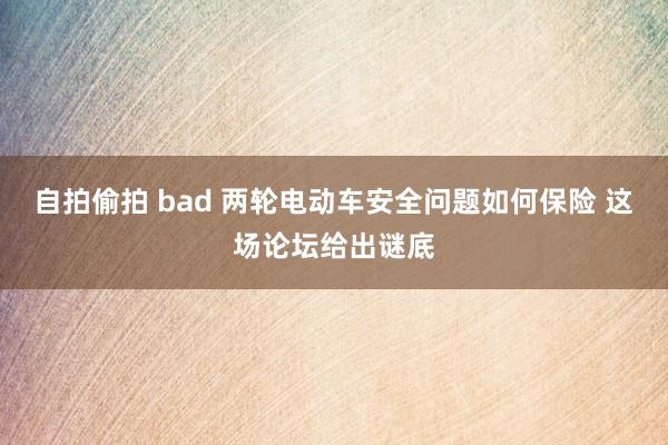 自拍偷拍 bad 两轮电动车安全问题如何保险 这场论坛给出谜底