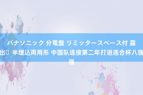 パナソニック 分電盤 リミッタースペース付 露出・半埋込両用形 中国队连接第二年打进连合杯八强