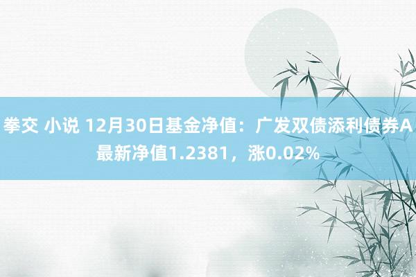 拳交 小说 12月30日基金净值：广发双债添利债券A最新净值1.2381，涨0.02%