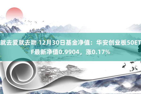 就去爱就去吻 12月30日基金净值：华安创业板50ETF最新净值0.9904，涨0.17%