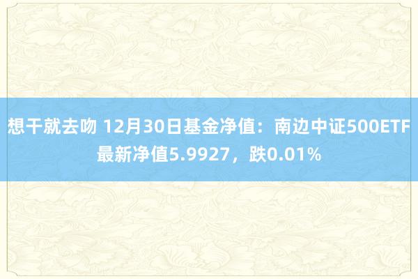 想干就去吻 12月30日基金净值：南边中证500ETF最新净值5.9927，跌0.01%