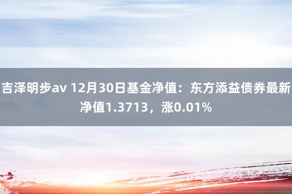 吉泽明步av 12月30日基金净值：东方添益债券最新净值1.3713，涨0.01%