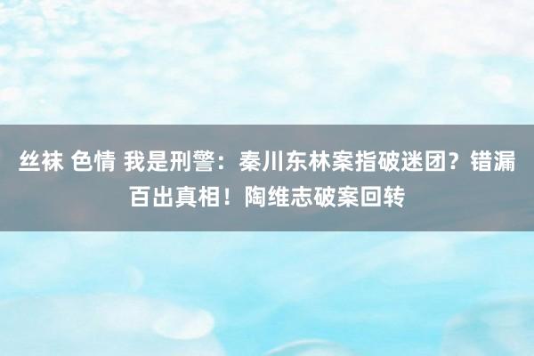 丝袜 色情 我是刑警：秦川东林案指破迷团？错漏百出真相！陶维志破案回转