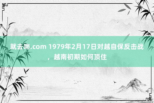 就去吻.com 1979年2月17日对越自保反击战，越南初期如何顶住