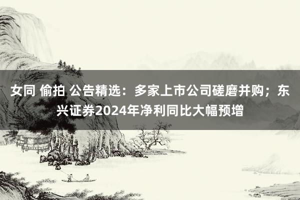 女同 偷拍 公告精选：多家上市公司磋磨并购；东兴证券2024年净利同比大幅预增