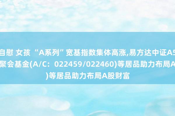 自慰 女孩 “A系列”宽基指数集体高涨，易方达中证A500ETF聚会基金(A/C：022459/022460)等居品助力布局A股财富