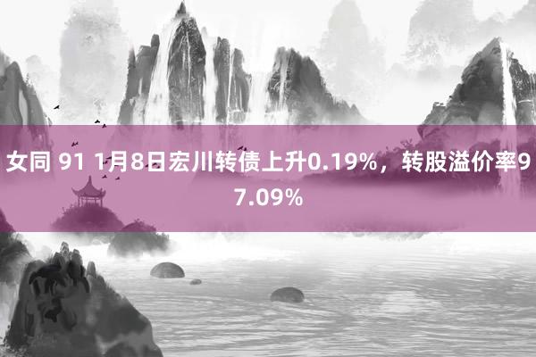 女同 91 1月8日宏川转债上升0.19%，转股溢价率97.09%