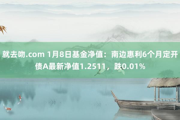 就去吻.com 1月8日基金净值：南边惠利6个月定开债A最新净值1.2511，跌0.01%